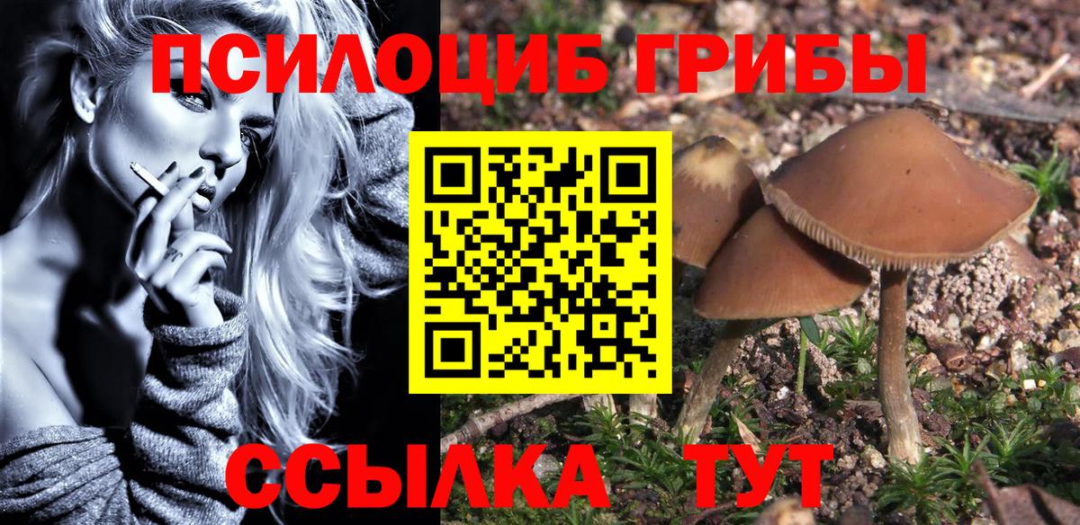 Псилоцибиновые грибы Psilocybe  Вход с VPN  Москва 