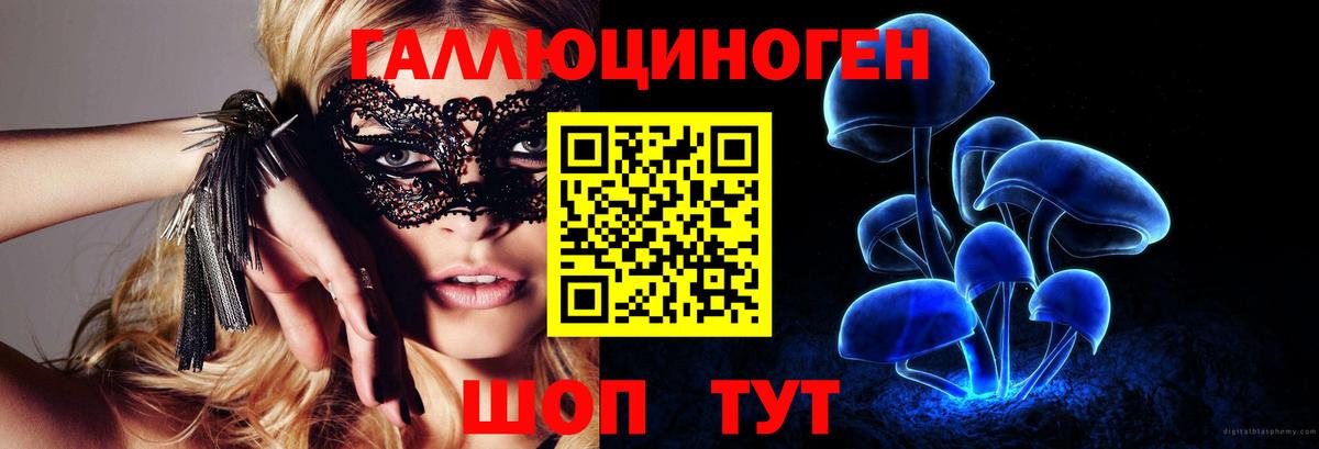 Галлюциногенные грибы мухоморы Москва