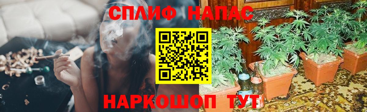 Бошки Шишки сатива Москва